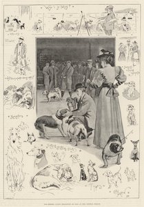 养犬俱乐部在水晶宫举办的狗展